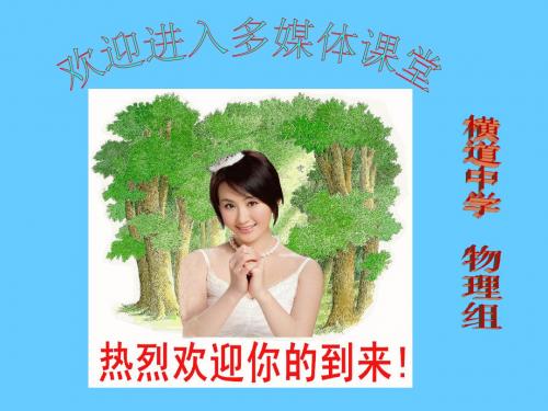 九年物理教学课件多彩的物质世界复习课PPT