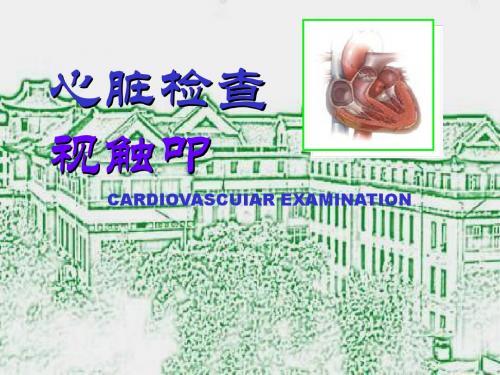 心脏视触叩 PPT课件