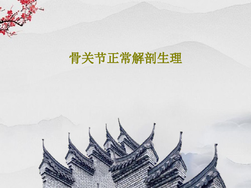 骨关节正常解剖生理34页PPT