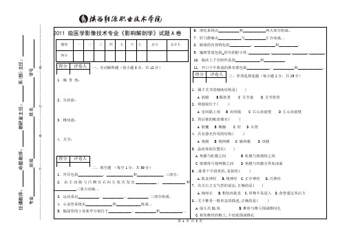 影像121-123解剖试题A