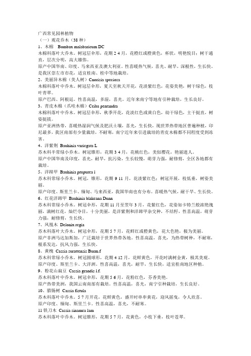 广西常见园林植物