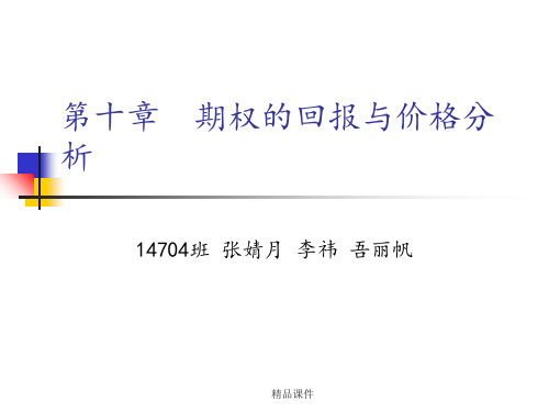 期权的回报及价格分析ppt课件