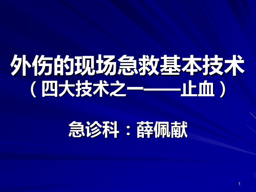 止血方法PPT课件