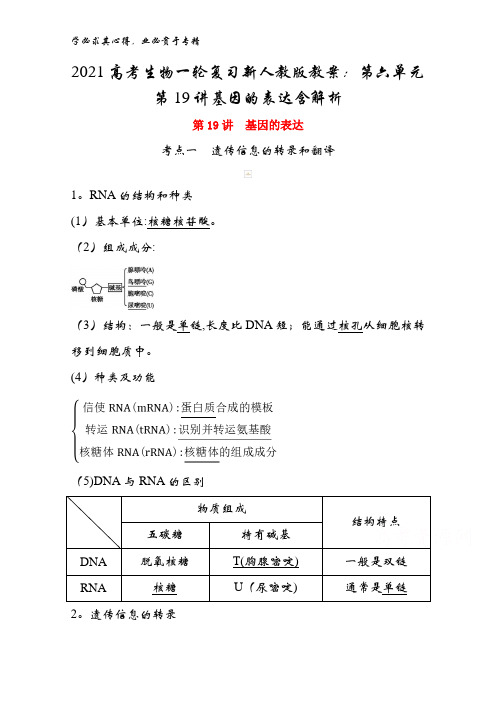 2021高考生物一轮复习教案：第六单元第19讲基因的表达含解析