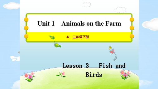 三年级下册英语习题课件   Lesson 3  Fish and Birds   冀教版