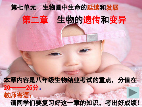 生物人教版八年级下册第二章 《生物的遗传和变异》