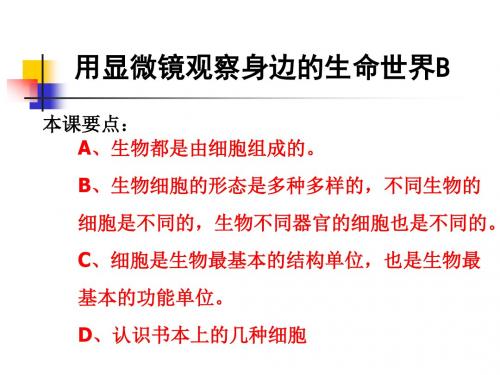教科小学科学六下《1.7、用显微镜观察身边的生命世界(三)》PPT课件(5)