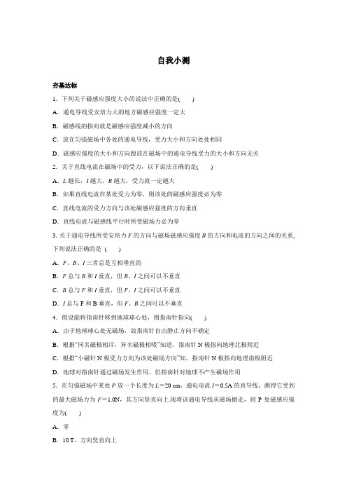  磁感应强度 课时作业 (含解析) (30)