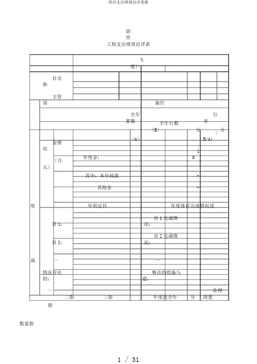 项目支出绩效自评表格