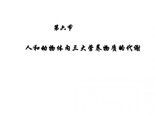 人和动物体内三大营养物质的代谢2(新编201908)