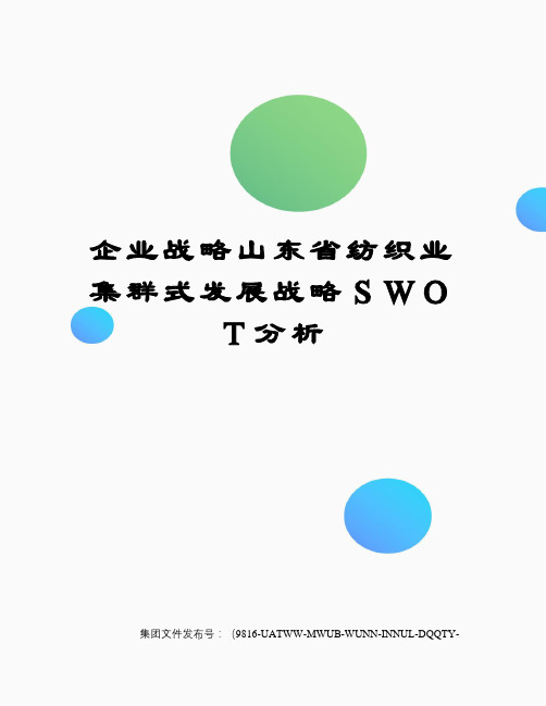 企业战略山东省纺织业集群式发展战略SWOT分析