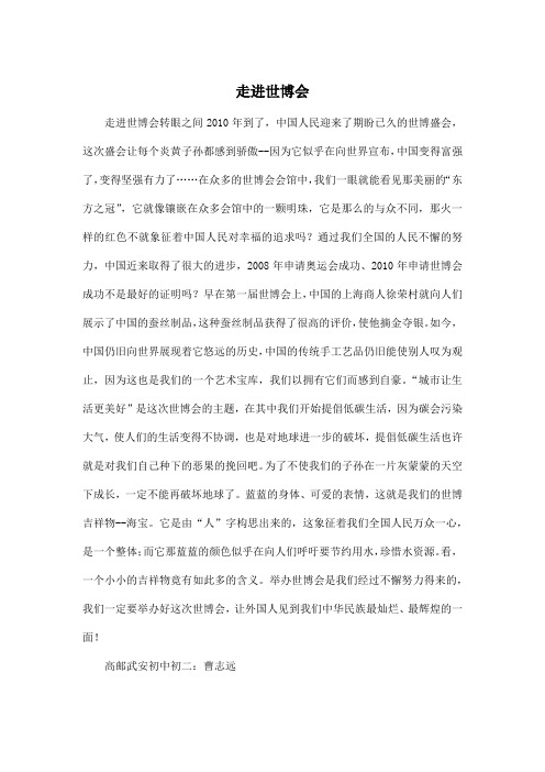 走进世博会_初中初二作文600字