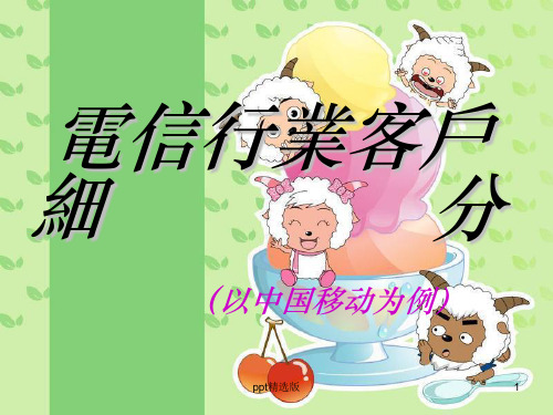 电信行业客户细分PPT课件