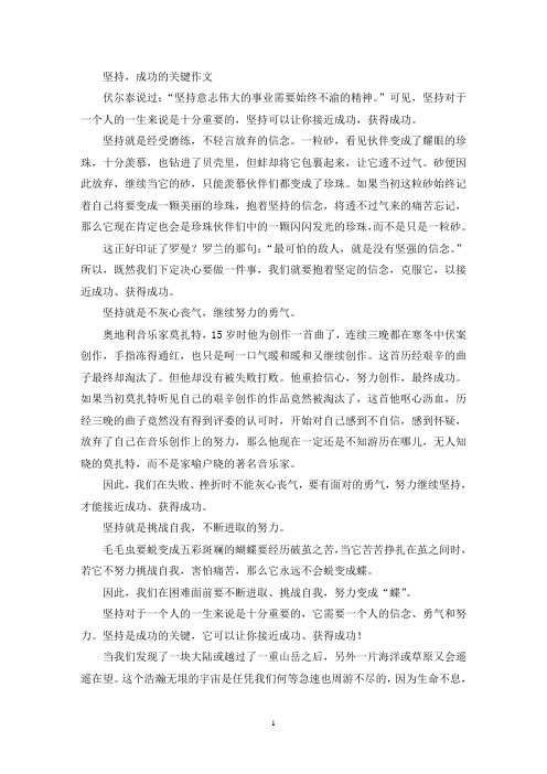 坚持,成功的关键作文(精选)