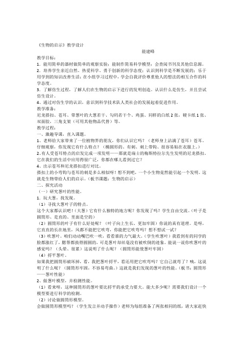 《生物的启示》教学设计