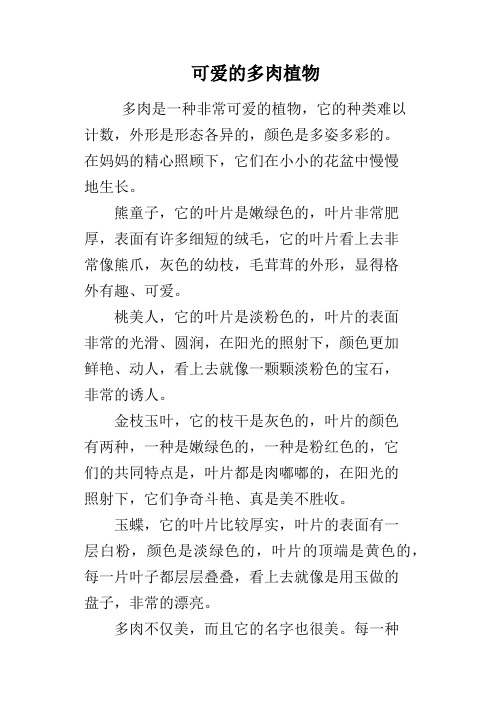 可爱的多肉植物