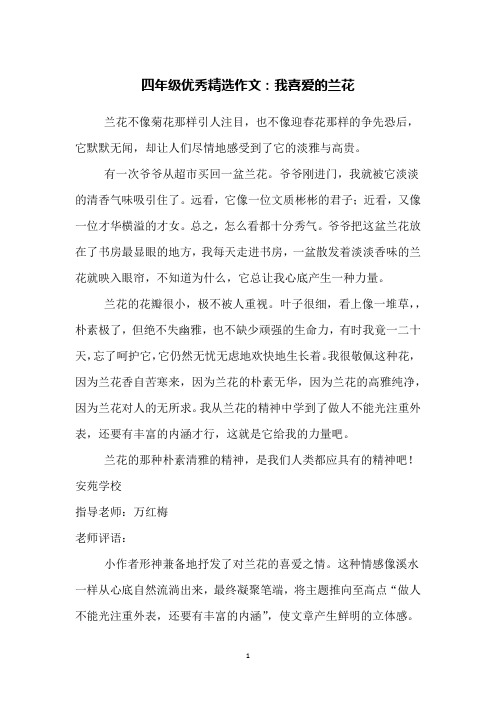 四年级优秀精选作文：我喜爱的兰花