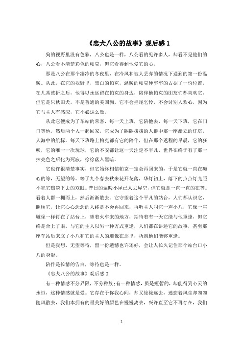 《忠犬八公的故事》观后感800字精选5篇