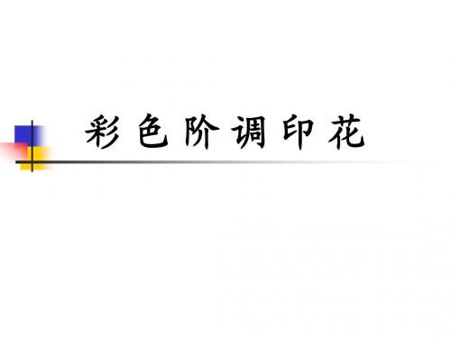 09彩 色 阶 调 印 花