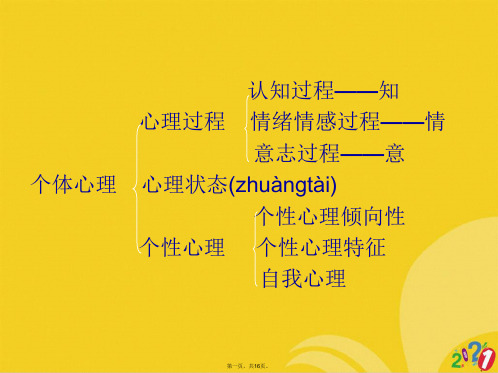 第一   绪论正式版ppt