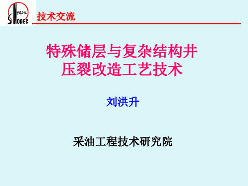 特殊储层压裂技术 - 副本