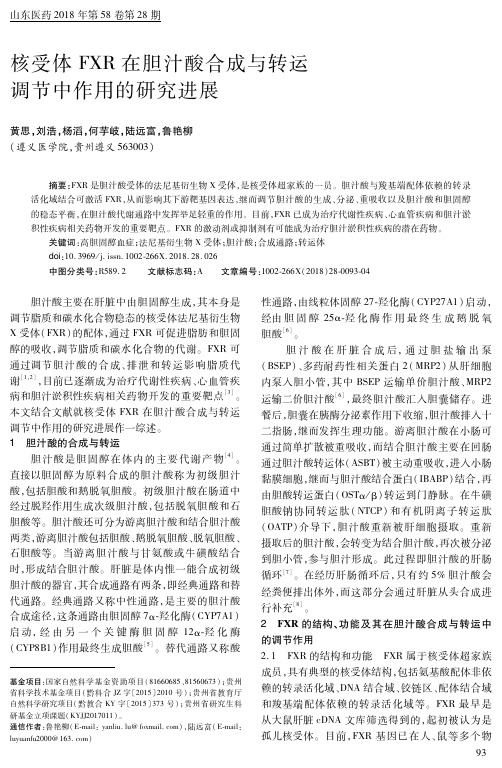 核受体FXR在胆汁酸合成与转运调节中作用的研究进展