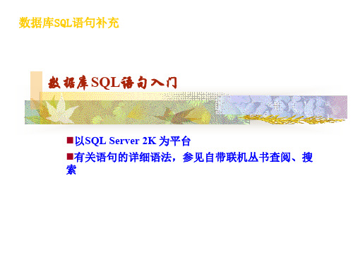 数据库SQL语句补充 共24页PPT资料