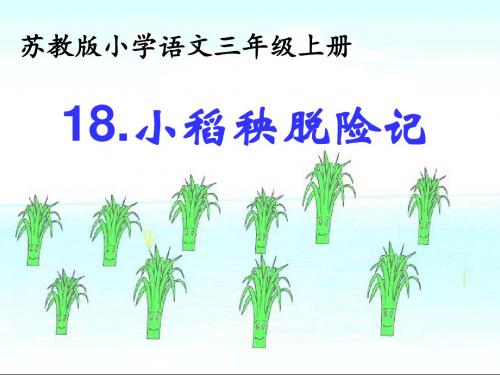小稻秧脱险记课件