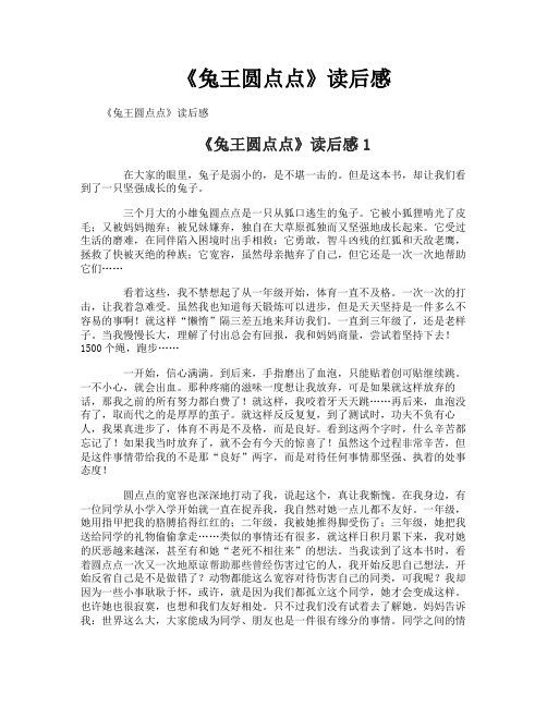 《兔王圆点点》读后感