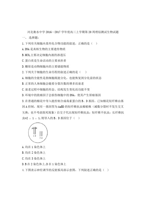 河北省衡水中学2017届高三上学期第20周周测理综生物试题(解析版)
