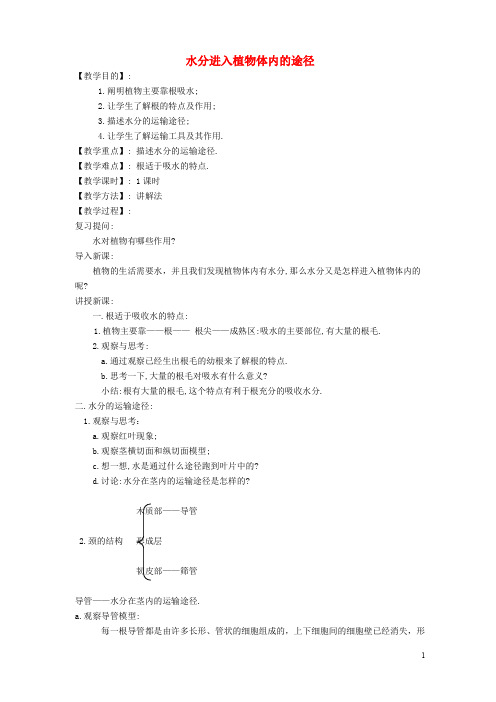 七年级生物上册 3.3.2 水分进入植物体内的途径教案3 (