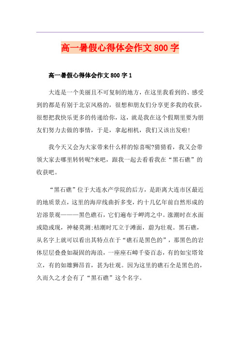 高一暑假心得体会作文800字