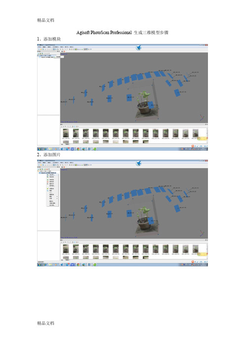 最新Agisoft_PhotoScan_Professional_生成三维模型步骤资料