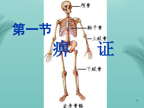 第一节痹证.优秀精选PPT