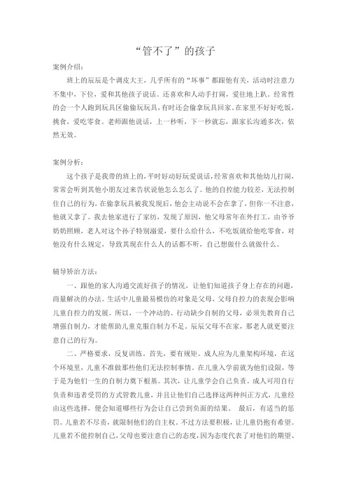 个案研究报告