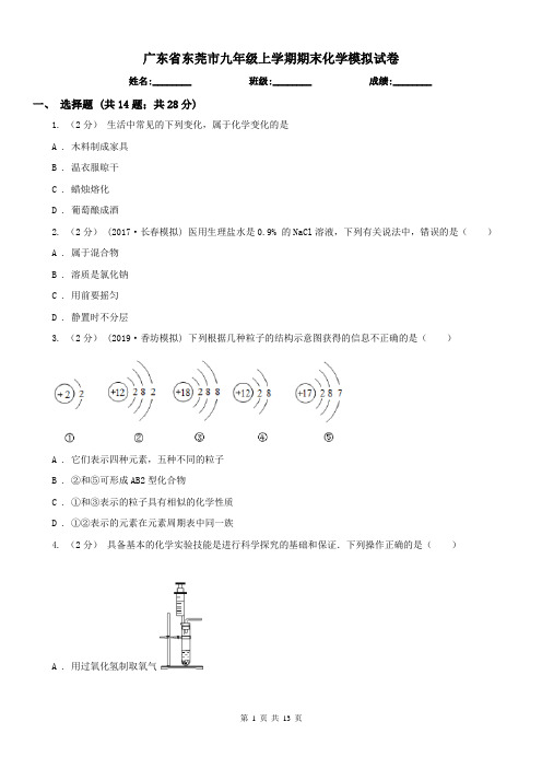 广东省东莞市九年级上学期期末化学模拟试卷