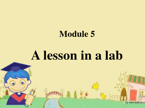英语： ModuLe 5 A Lesson in a Lab课件 外研版必修1