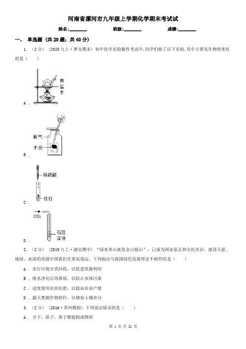 河南省漯河市九年级上学期化学期末考试试