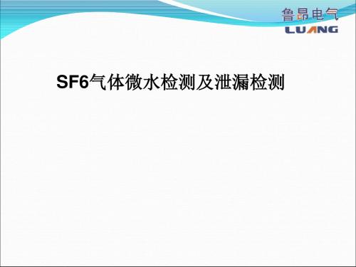 SF6气体微水检测和泄漏检测