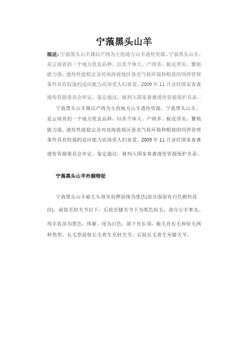 宁蒗黑头山羊