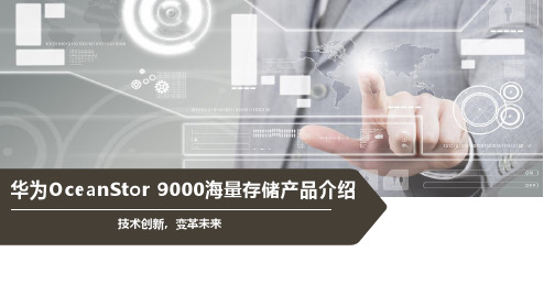 OceanStor9000海量存储产品介绍