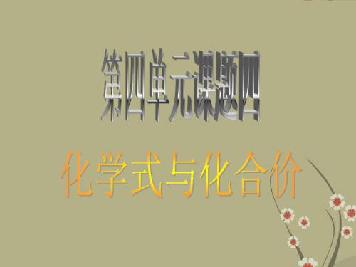 山东省郯城县郯城街道初级中学九年级化学下册 第四单元 课题四 化学物和化合价课件 新人教版