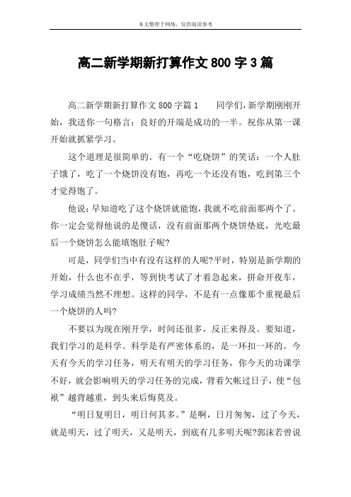 高二新学期新打算作文800字3篇