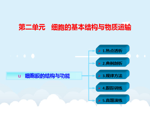 高考生物一轮复习 第二单元 细胞的基本结构与物质运输 01 细胞膜的结构与功能课件 新人教版