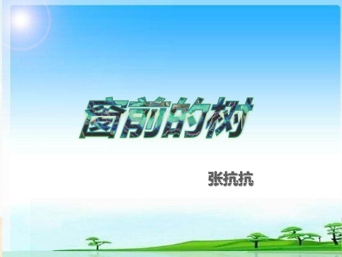 窗前的树PPT课件