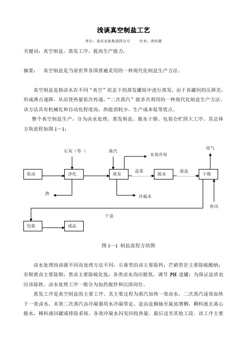 浅谈真空制盐