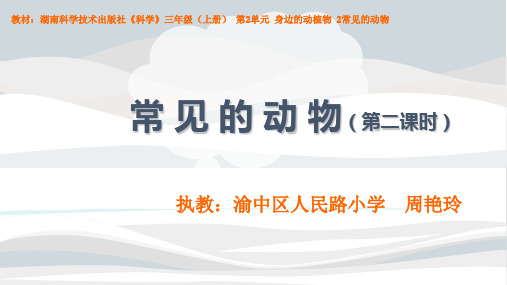 小学科学湘科版三年级上2常见的动物》课件公开课(2)