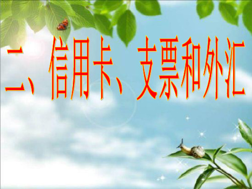 信用工具与外汇ppt课件