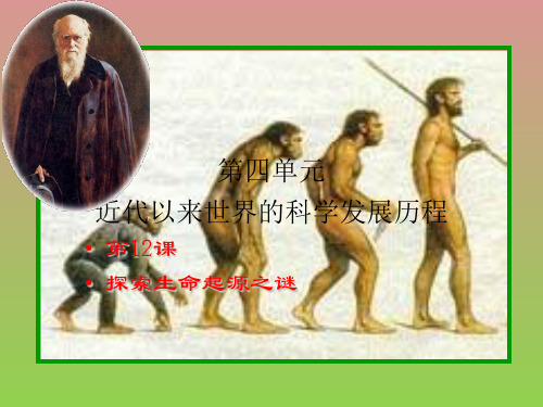 《破解生命起源之谜》课件3(19张PPT)(人教版必修3)