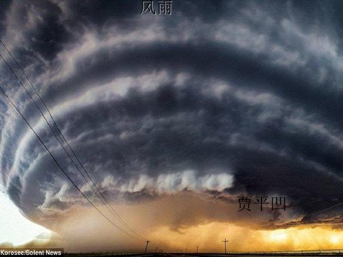 新人教版七年级上册语文 13 风雨(课件5)